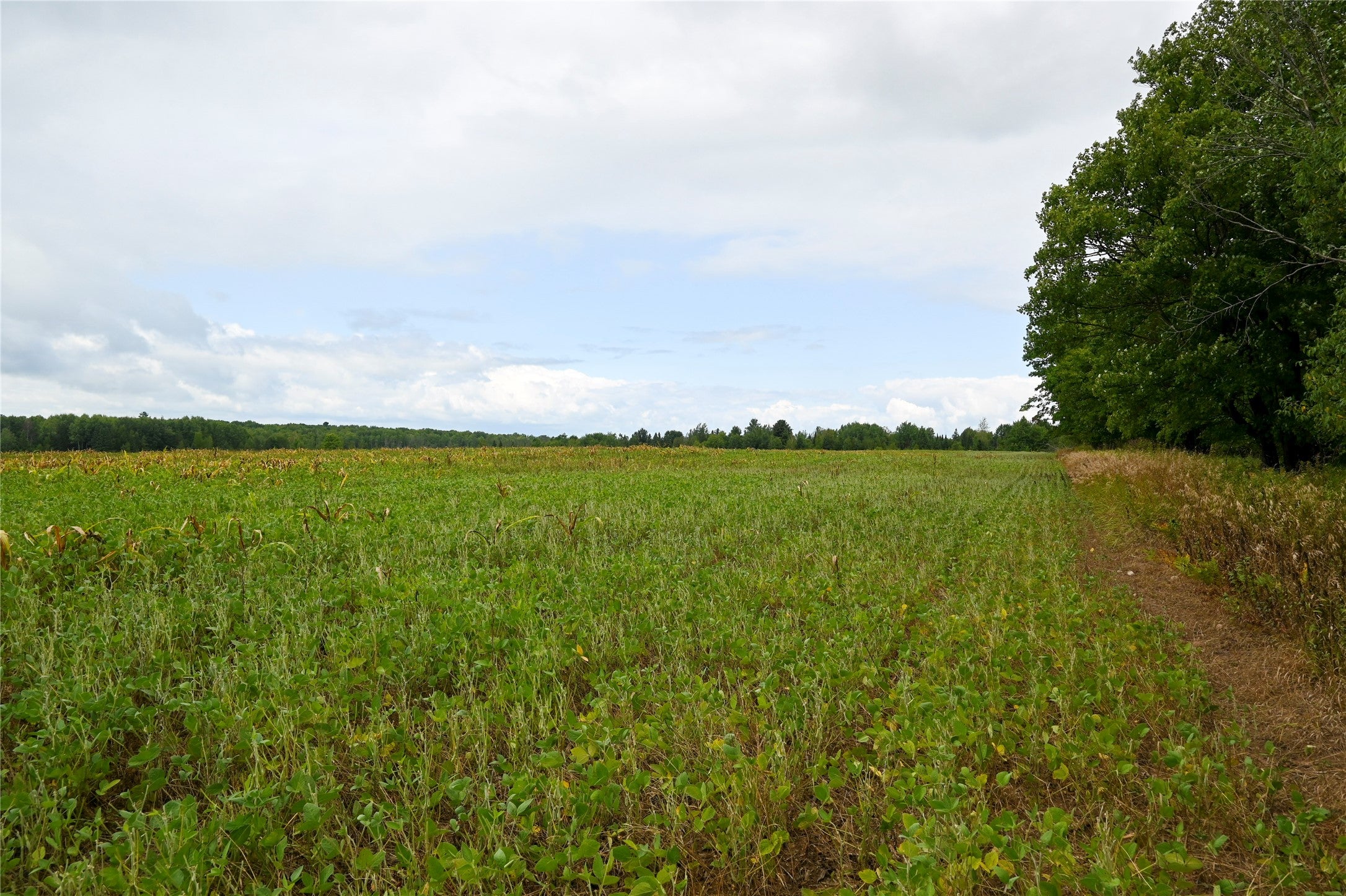 0 Schalk Road Ogema, WI 54459 - Photo 23 of 26 Gallery Image 23