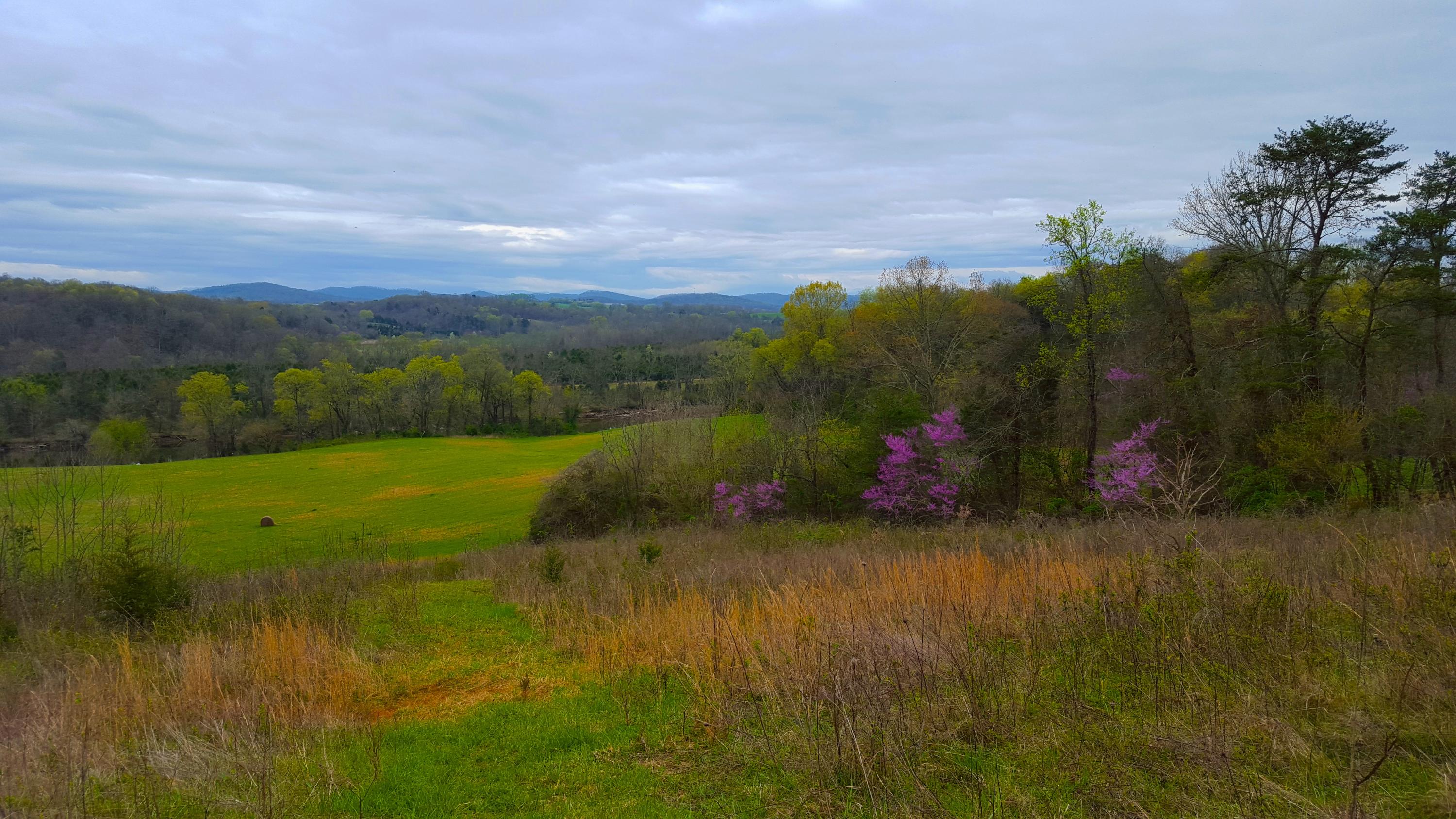 Lot#18 Cliff Top Road Blaine, TN 37709 - Photo 3 of 15 Midway views