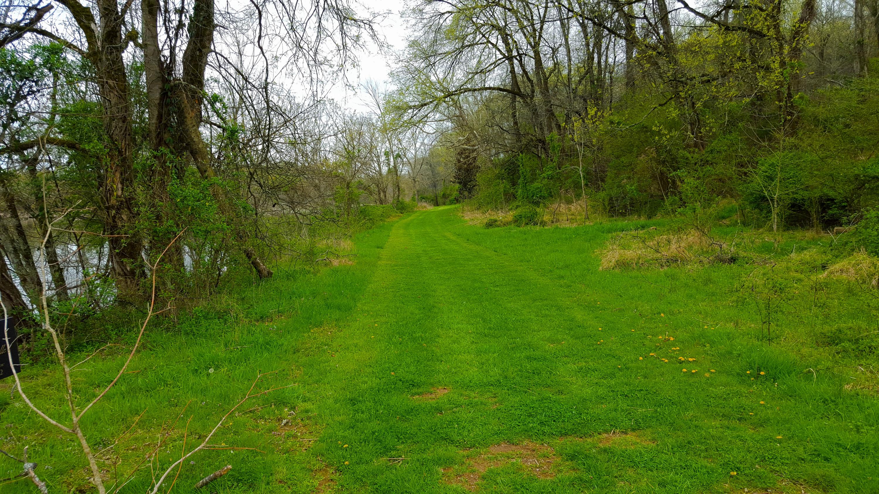 Lot#18 Cliff Top Road Blaine, TN 37709 - Photo 8 of 15 River land & woods