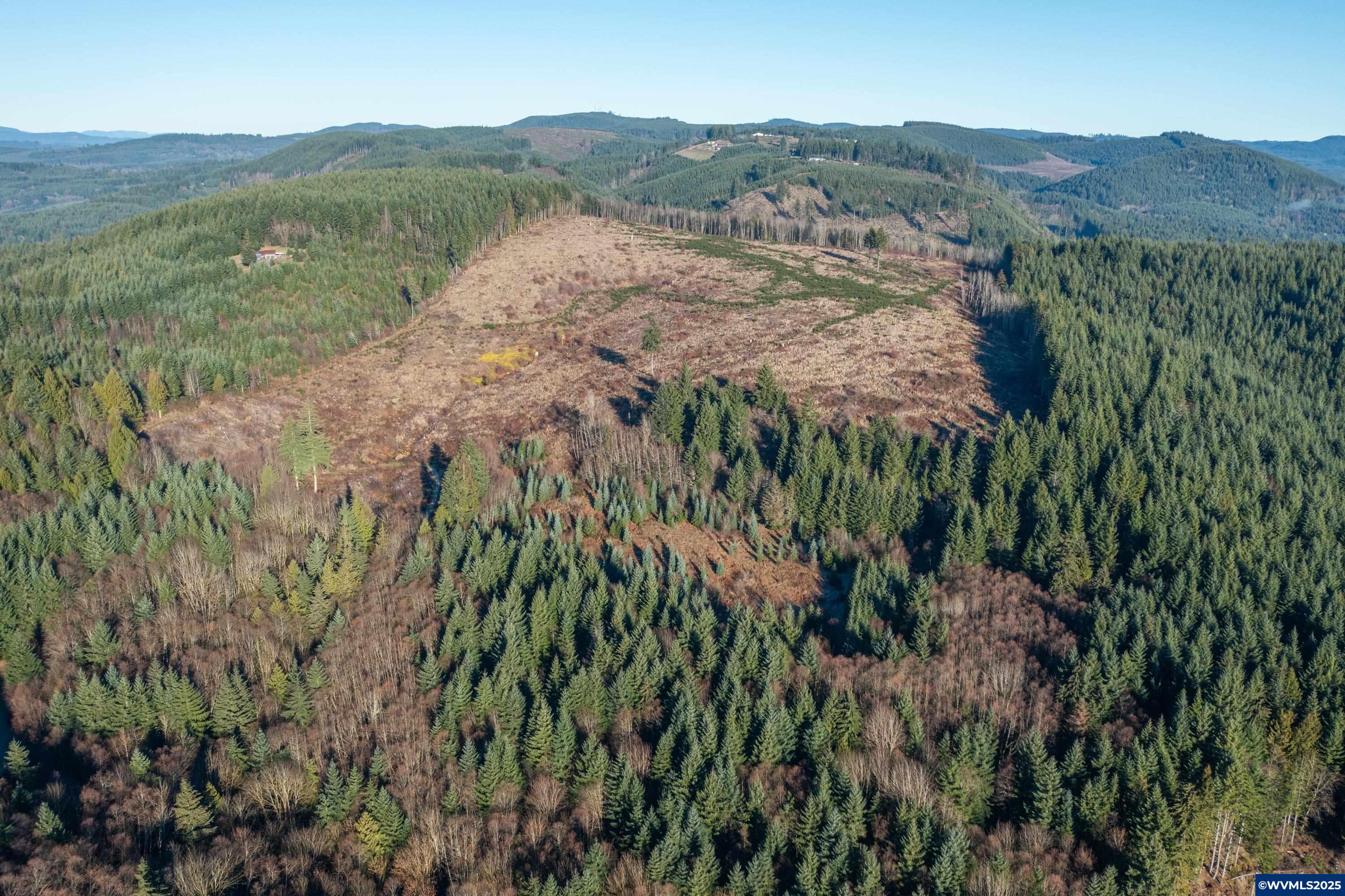 0 Northwest Sellers Road North Plains, OR 97133 - Photo 9 of 36