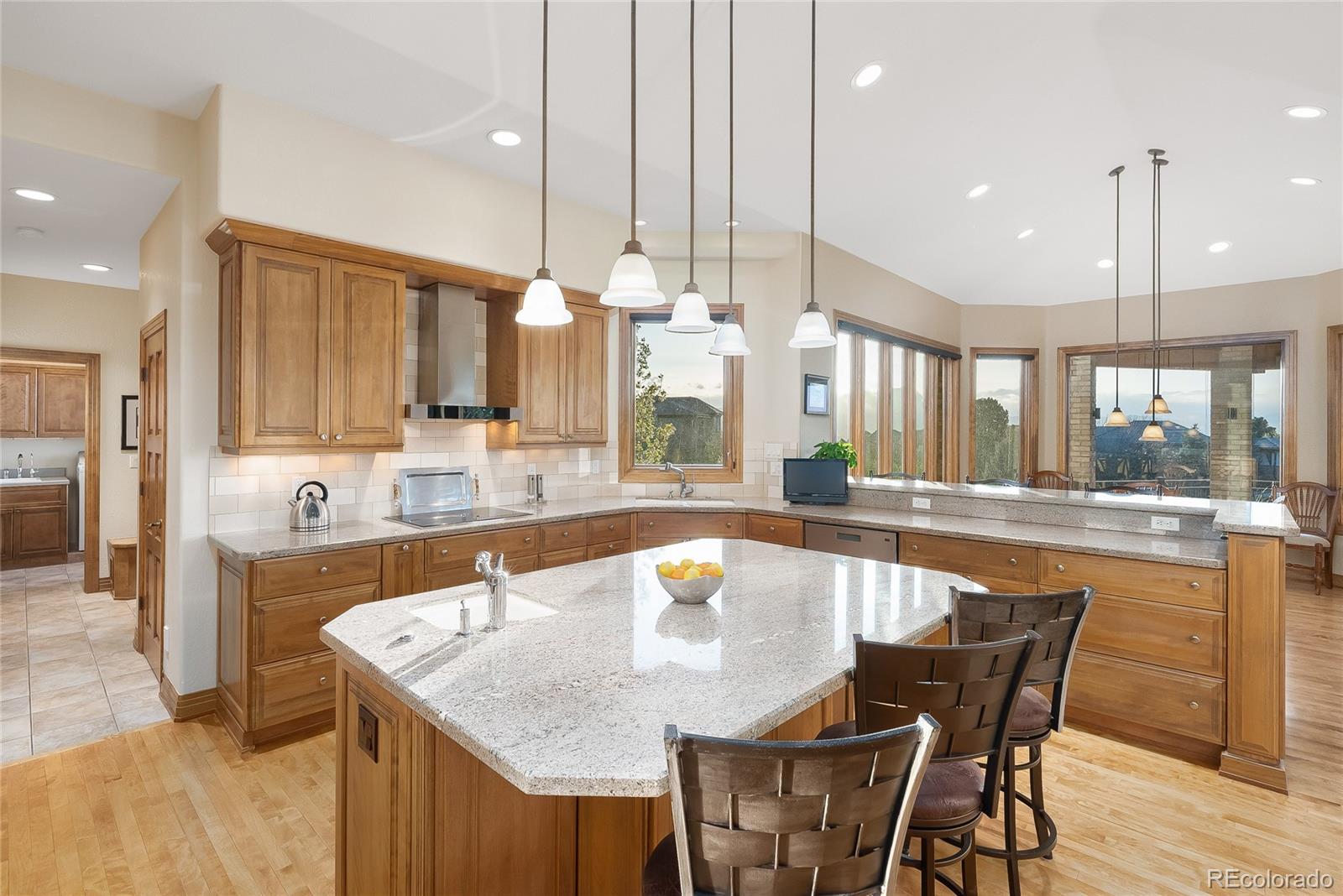 1071 Michener Way Highlands Ranch, CO 80126 - Photo 16 of 35 Gallery Image 16