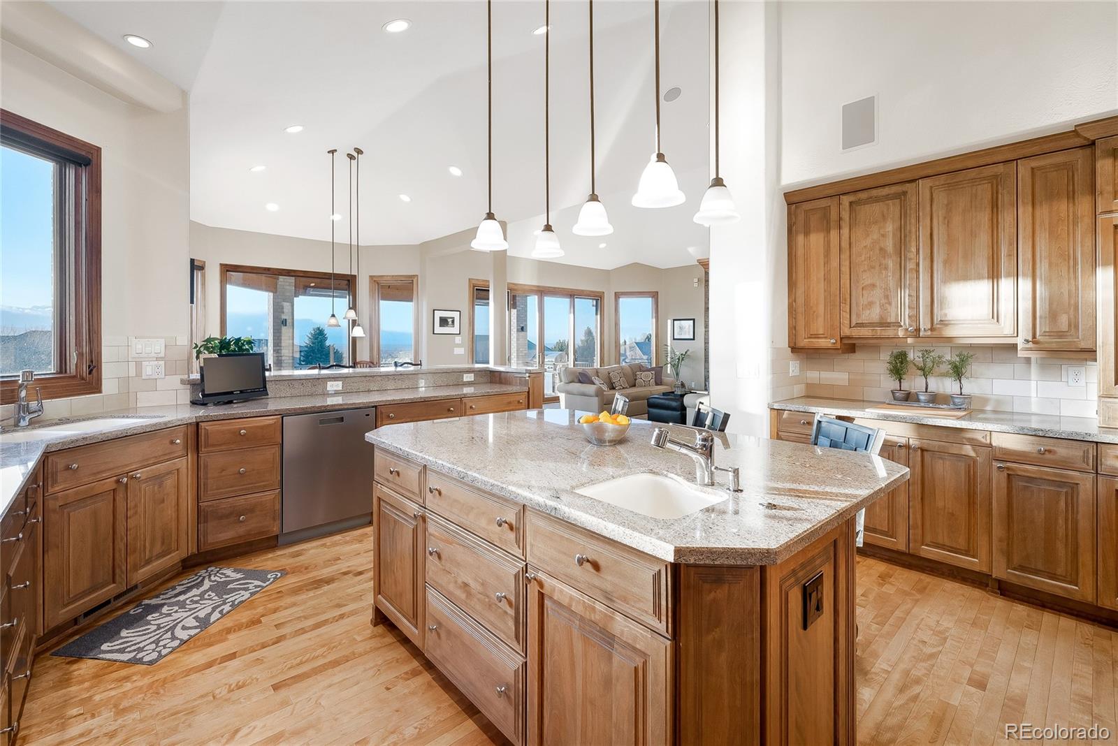 1071 Michener Way Highlands Ranch, CO 80126 - Photo 17 of 35 Gallery Image 17