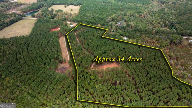 a view of a garden from a balcony