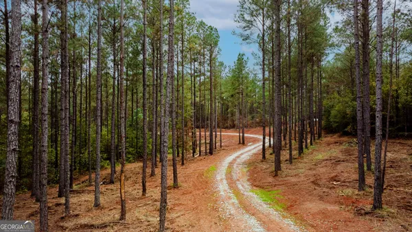 a view of outdoor space