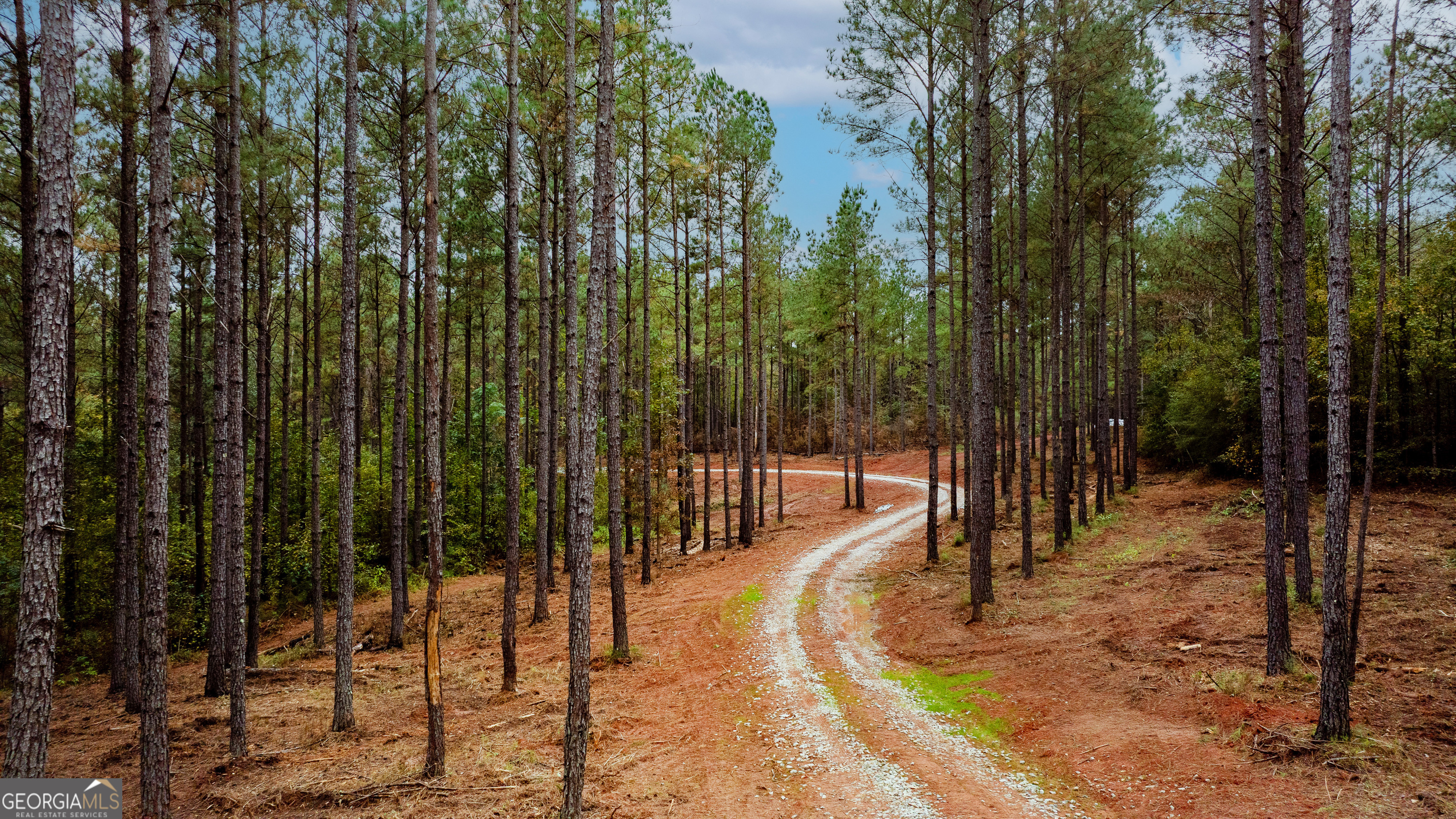 1279 Lanier Road White Plains, GA 30678 - Photo 3 of 11 a view of outdoor space
