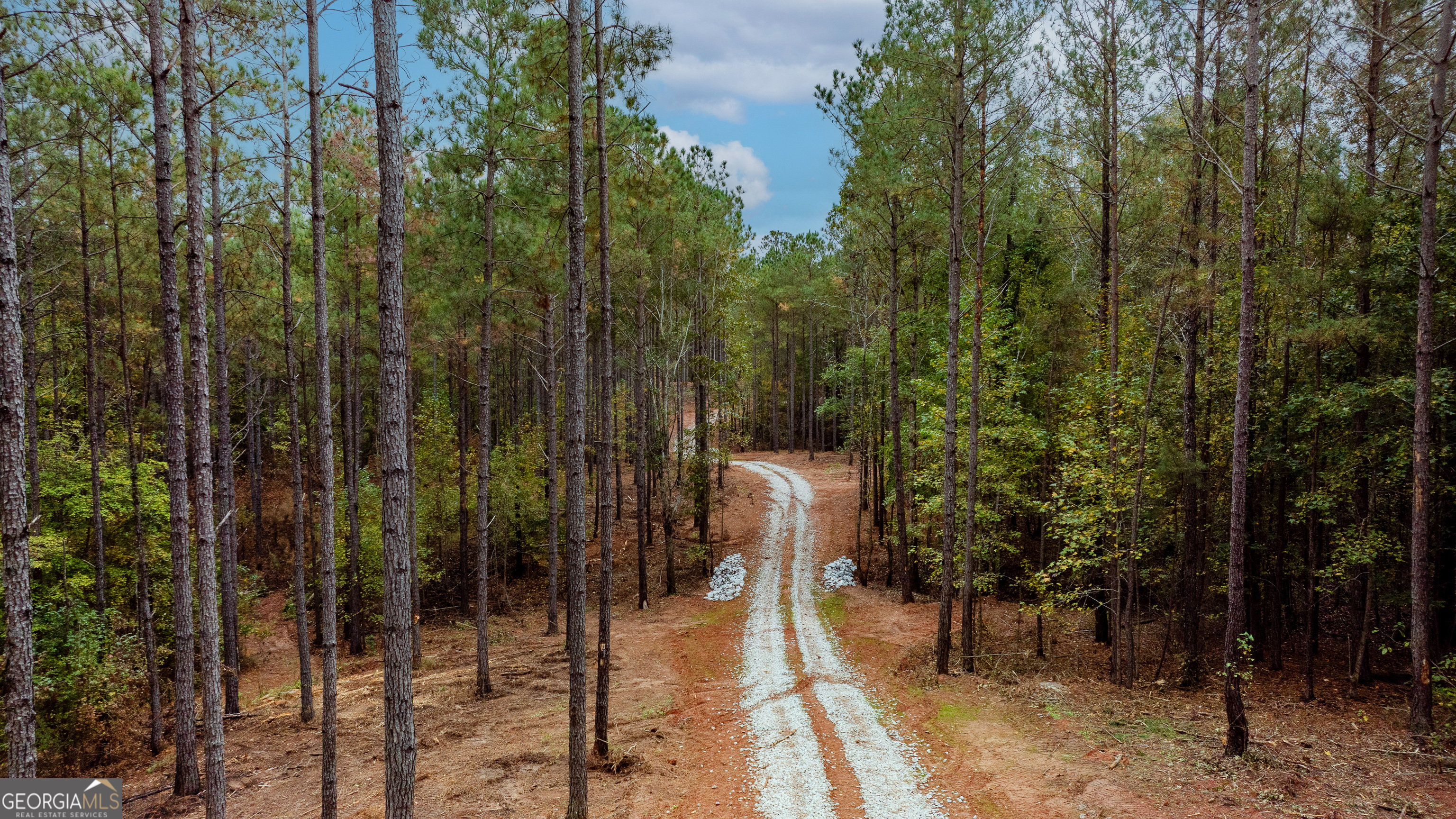 1279 Lanier Road White Plains, GA 30678 - Photo 4 of 11 a view of a outdoor space and trees