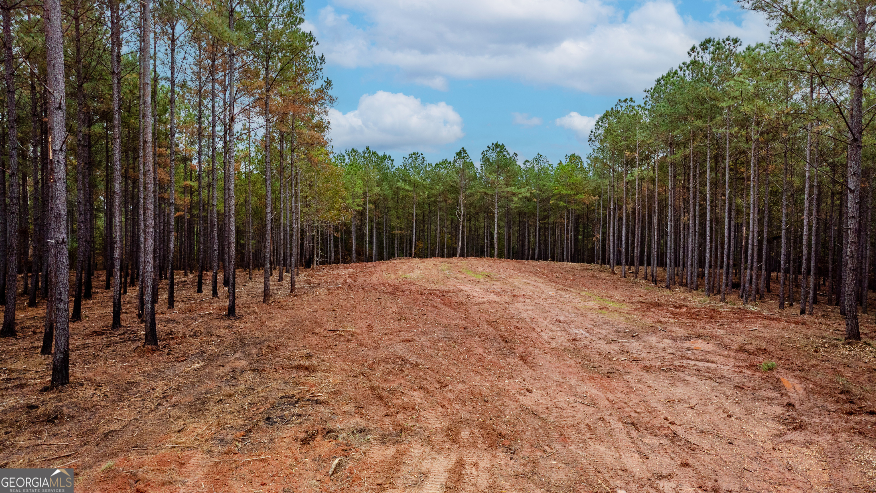 1279 Lanier Road White Plains, GA 30678 - Photo 6 of 11 a backyard of a house with lots of green space