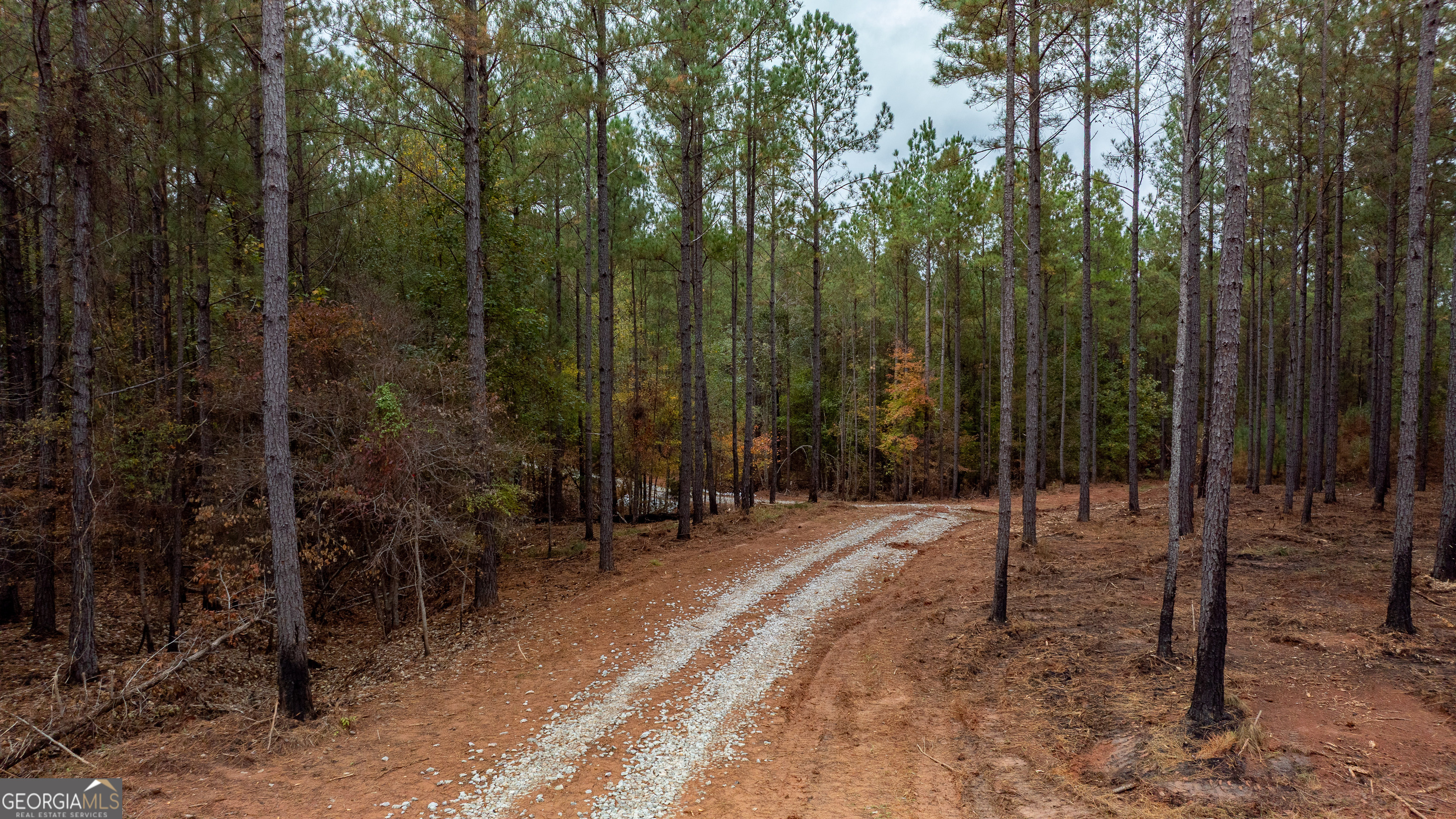 1279 Lanier Road White Plains, GA 30678 - Photo 7 of 11 a view of a forest