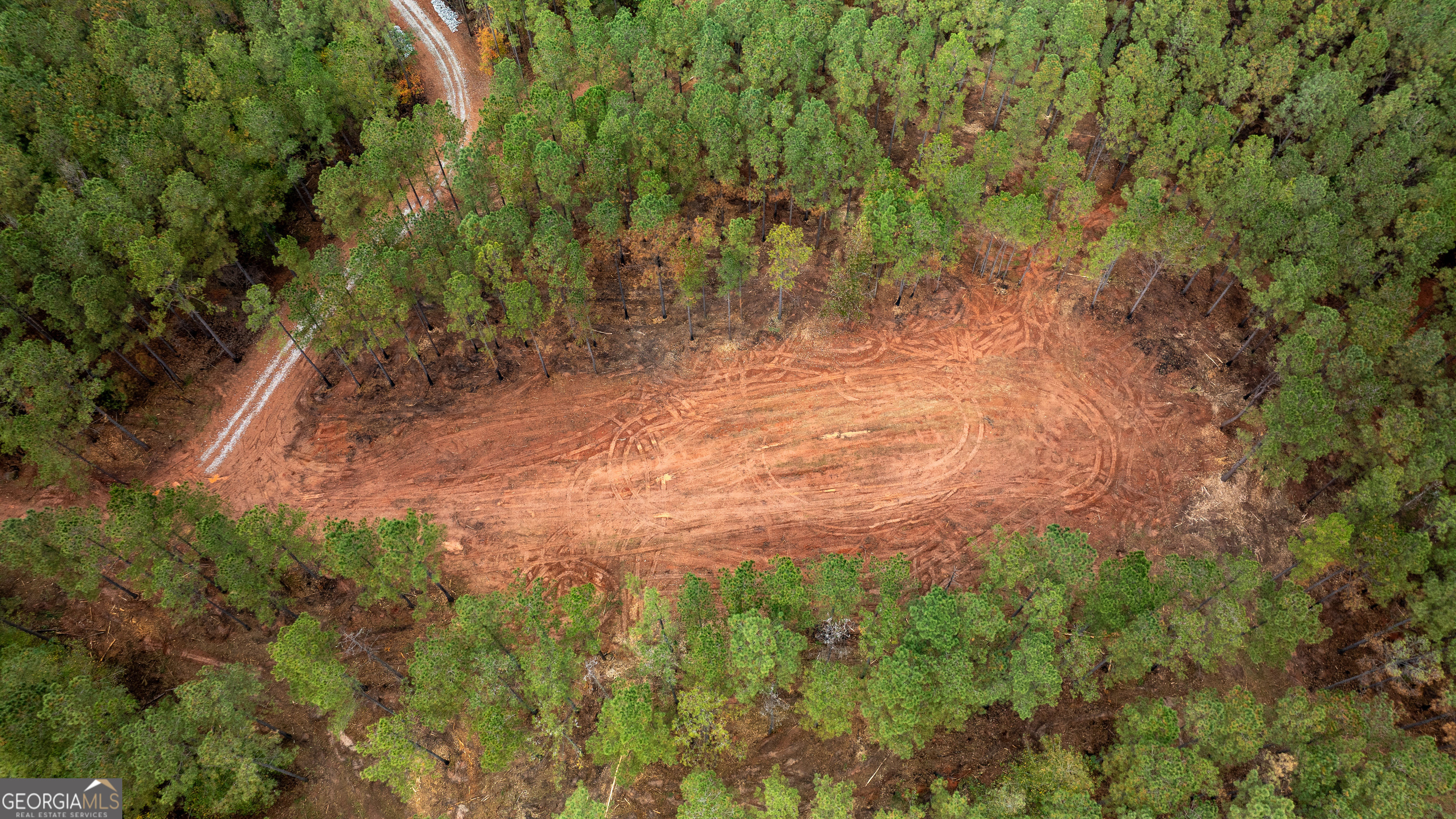 1279 Lanier Road White Plains, GA 30678 - Photo 8 of 11 a view of a yard with a tree