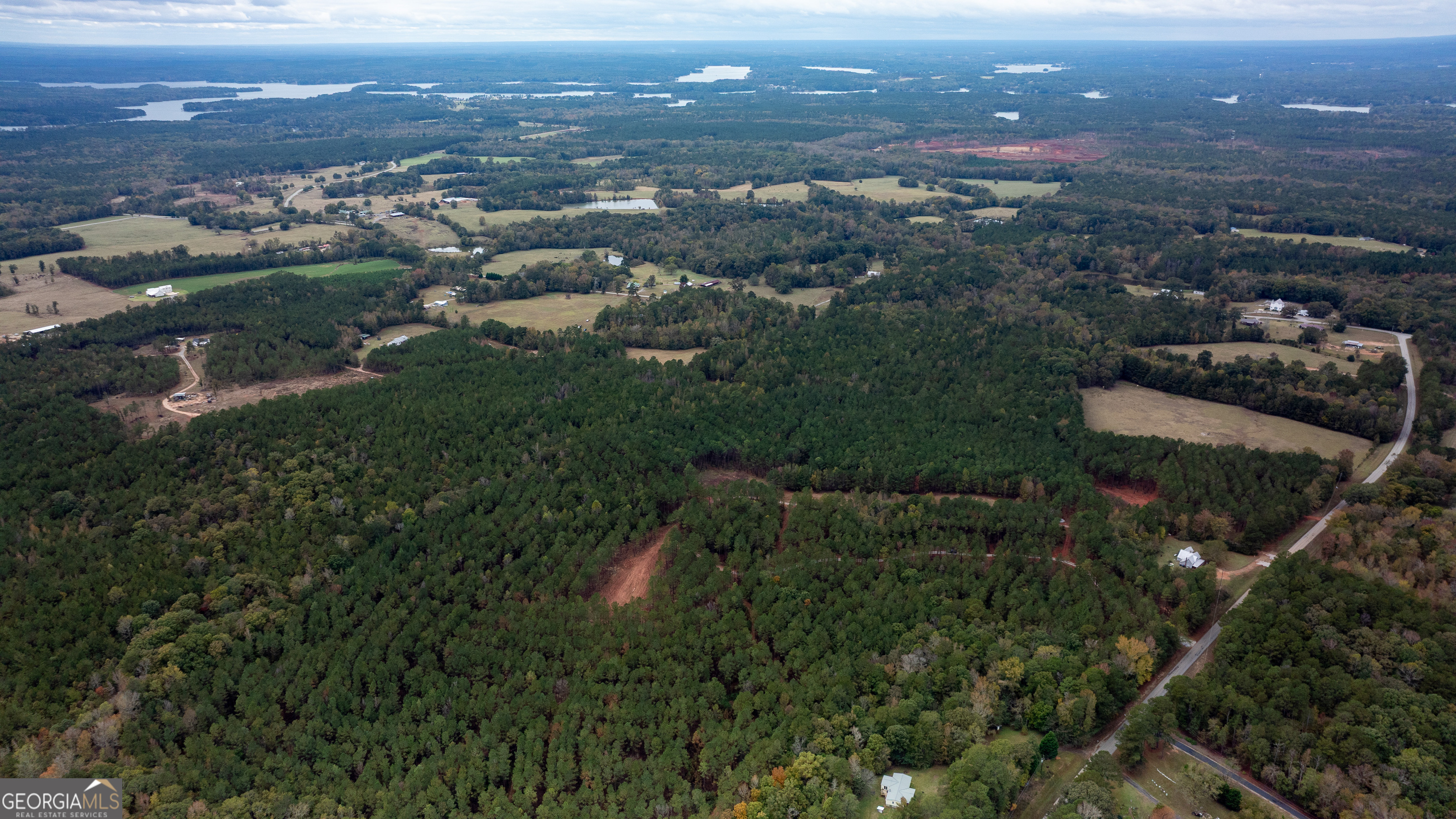 1279 Lanier Road White Plains, GA 30678 - Photo 9 of 11 an aerial view of residential house and green space