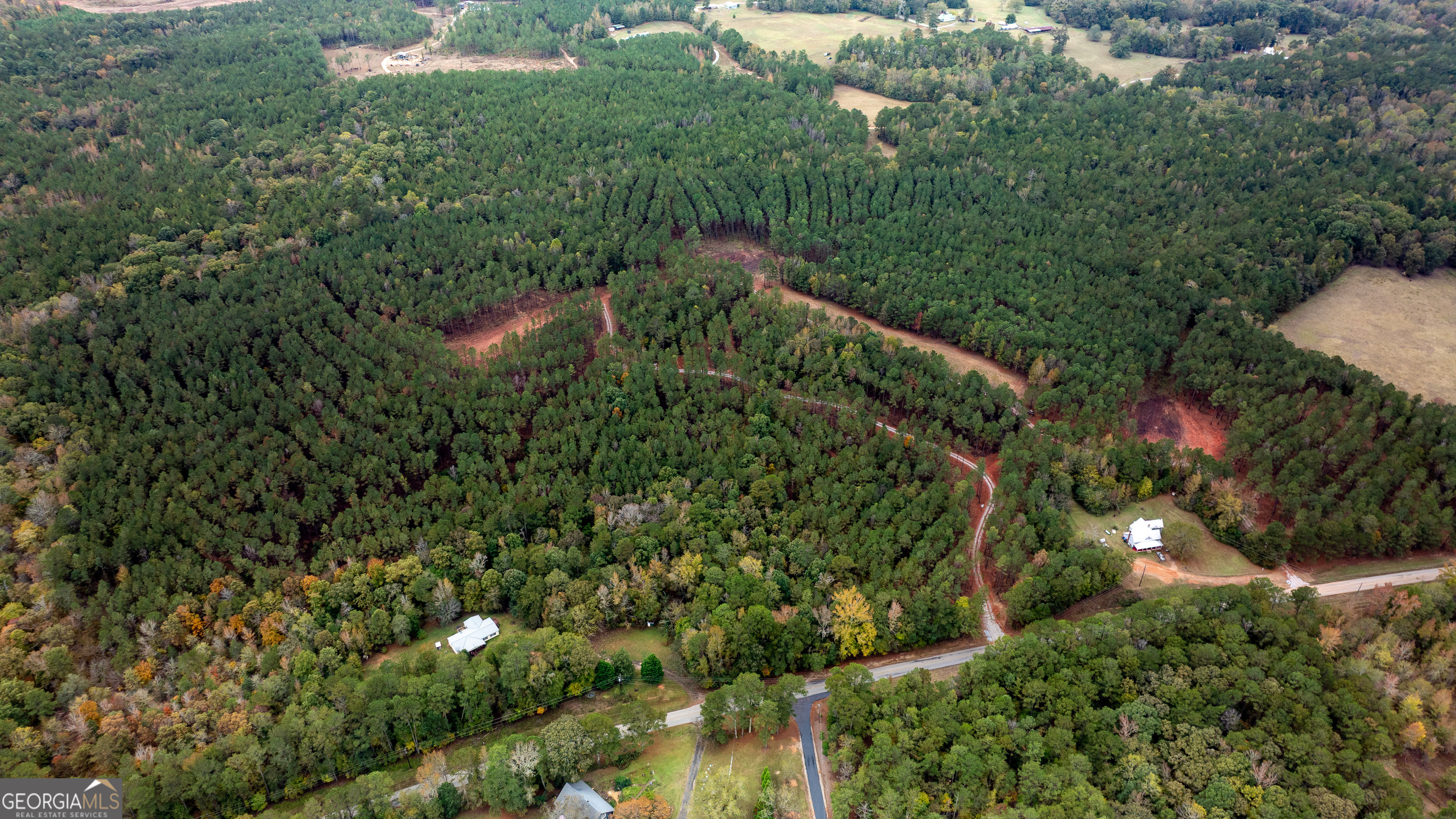 1279 Lanier Road White Plains, GA 30678 - Photo 10 of 11 an aerial view of residential house with outdoor space and trees all around