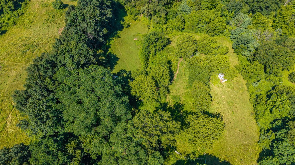 7001 East River Road Rush, NY 14543 - Photo 9 of 14 Gallery Image 9