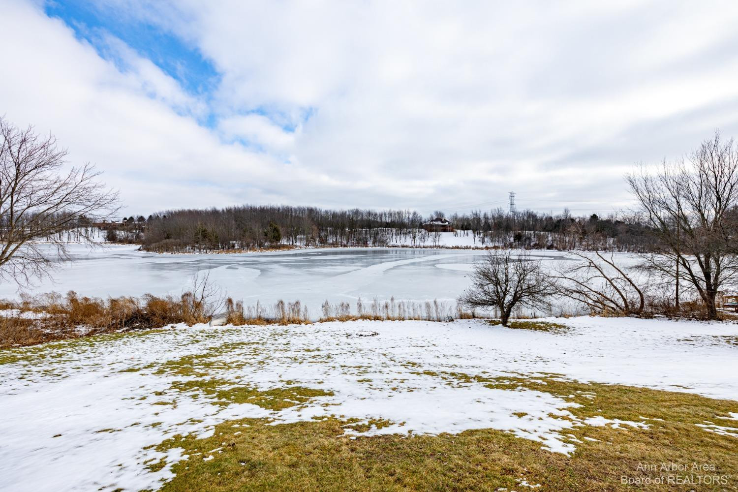 6843 Daly Road Dexter, MI 48130 - Photo 69 of 86 Photo 69