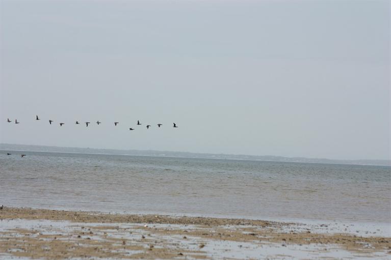 80 2nd Avenue Wellfleet, MA 02642 - Photo 27 of 35 a view of an ocean beach