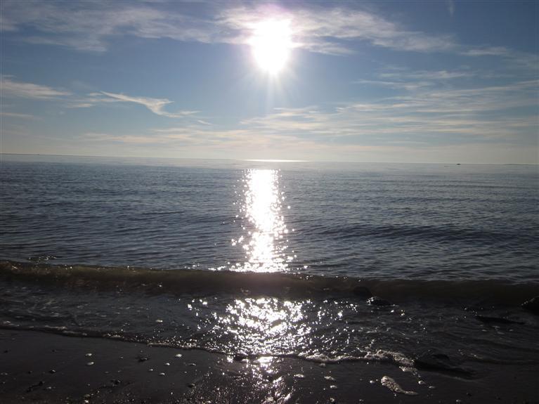 80 2nd Avenue Wellfleet, MA 02642 - Photo 4 of 35 a view of outside space