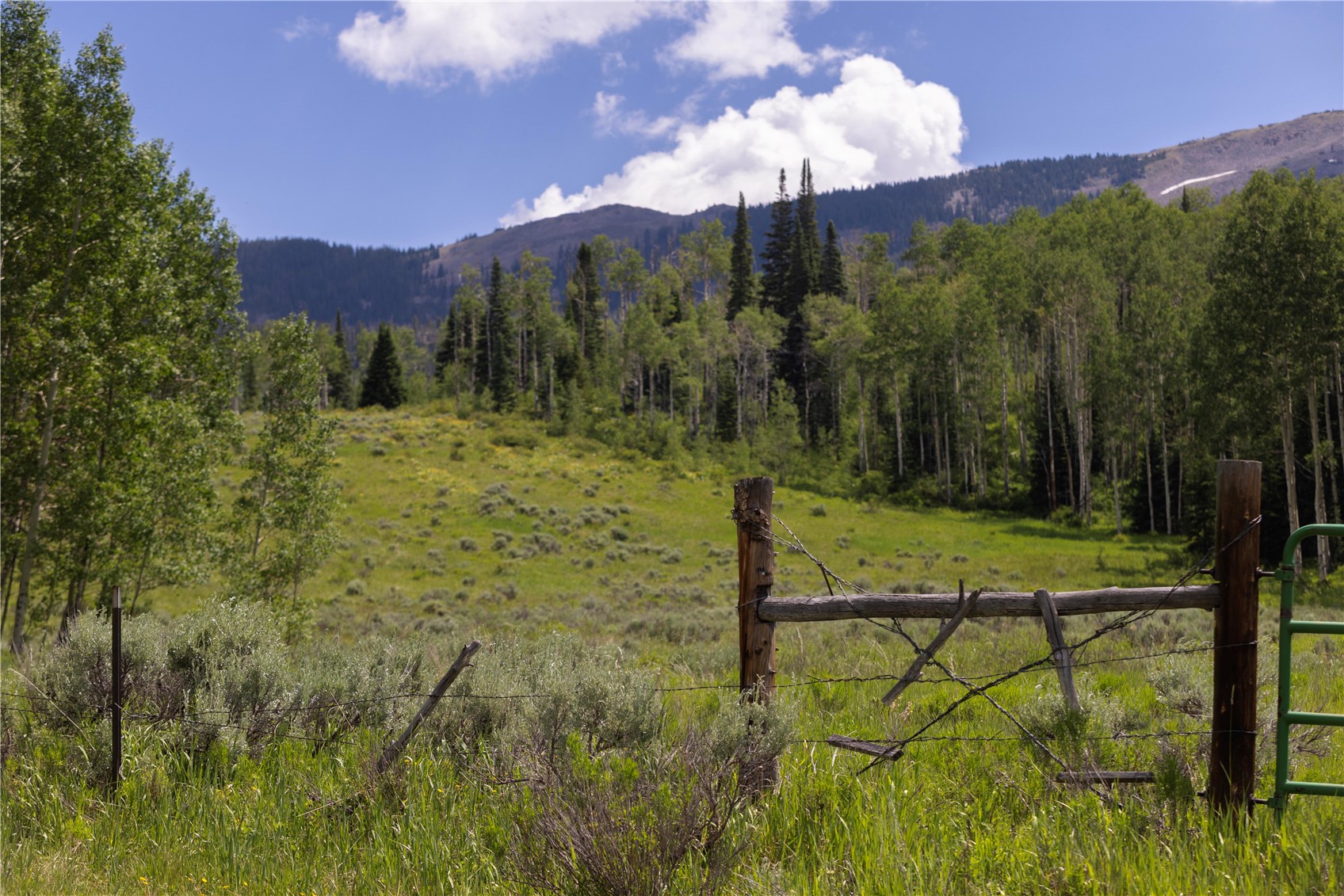 881 Antler Road Silverthorne, CO 80498 - Photo 8 of 40 Gallery Image 8