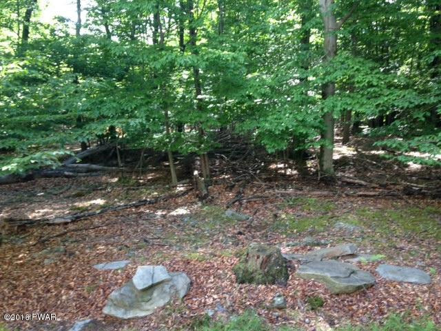 1043 Boat House Road Lake Ariel, PA 18436 - Photo 12 of 52