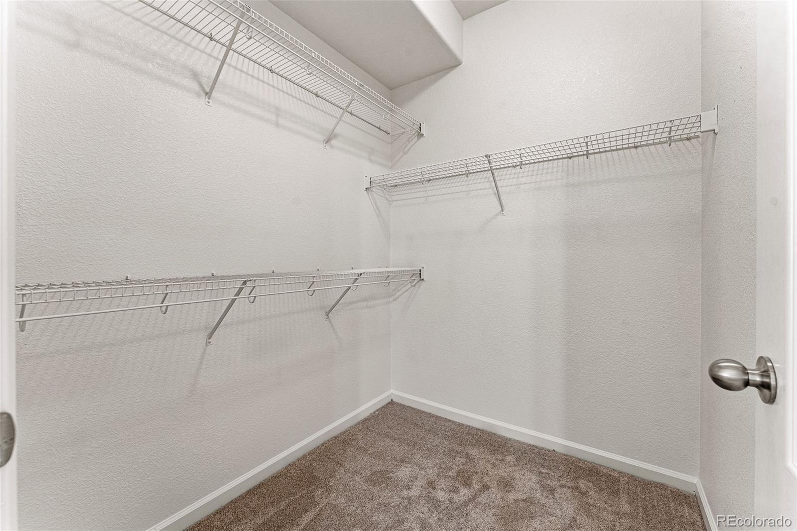 400 Sorrel Drive Windsor, CO 80550 - Photo 21 of 37 a view of a room