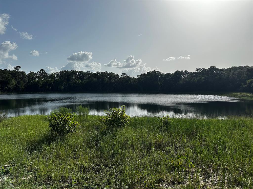 0 Malauka Loop Ocklawaha, FL 32179 - Photo 1 of 1