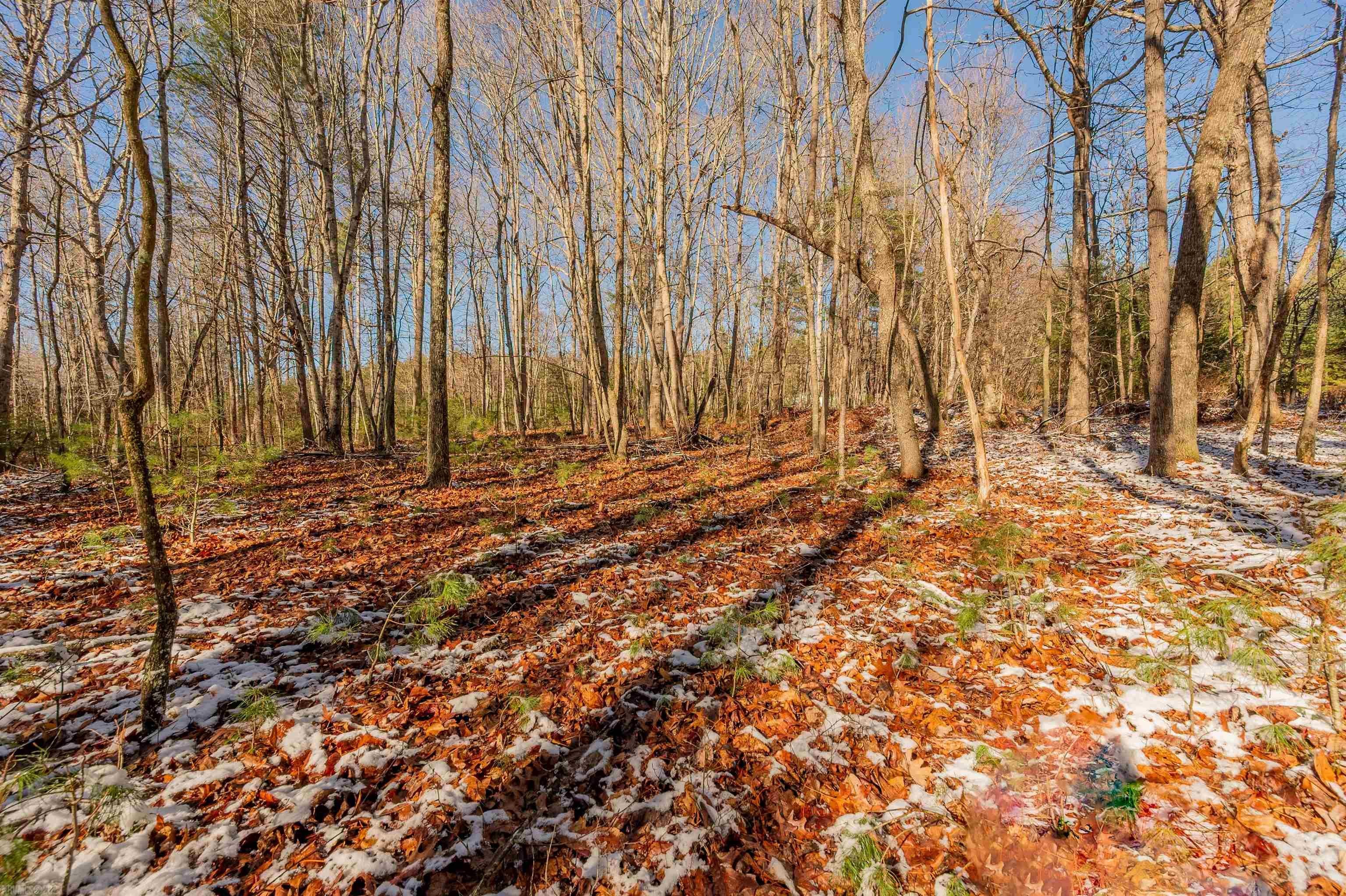 0 Willis Road Floyd, VA 24091 - Photo 13 of 17 Gallery Image 13