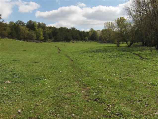 Tbd Tbd Parcel 2) Snipe Hollow Road Elizabeth, IL 61028 - Photo 1 of 4 Gallery Image 1