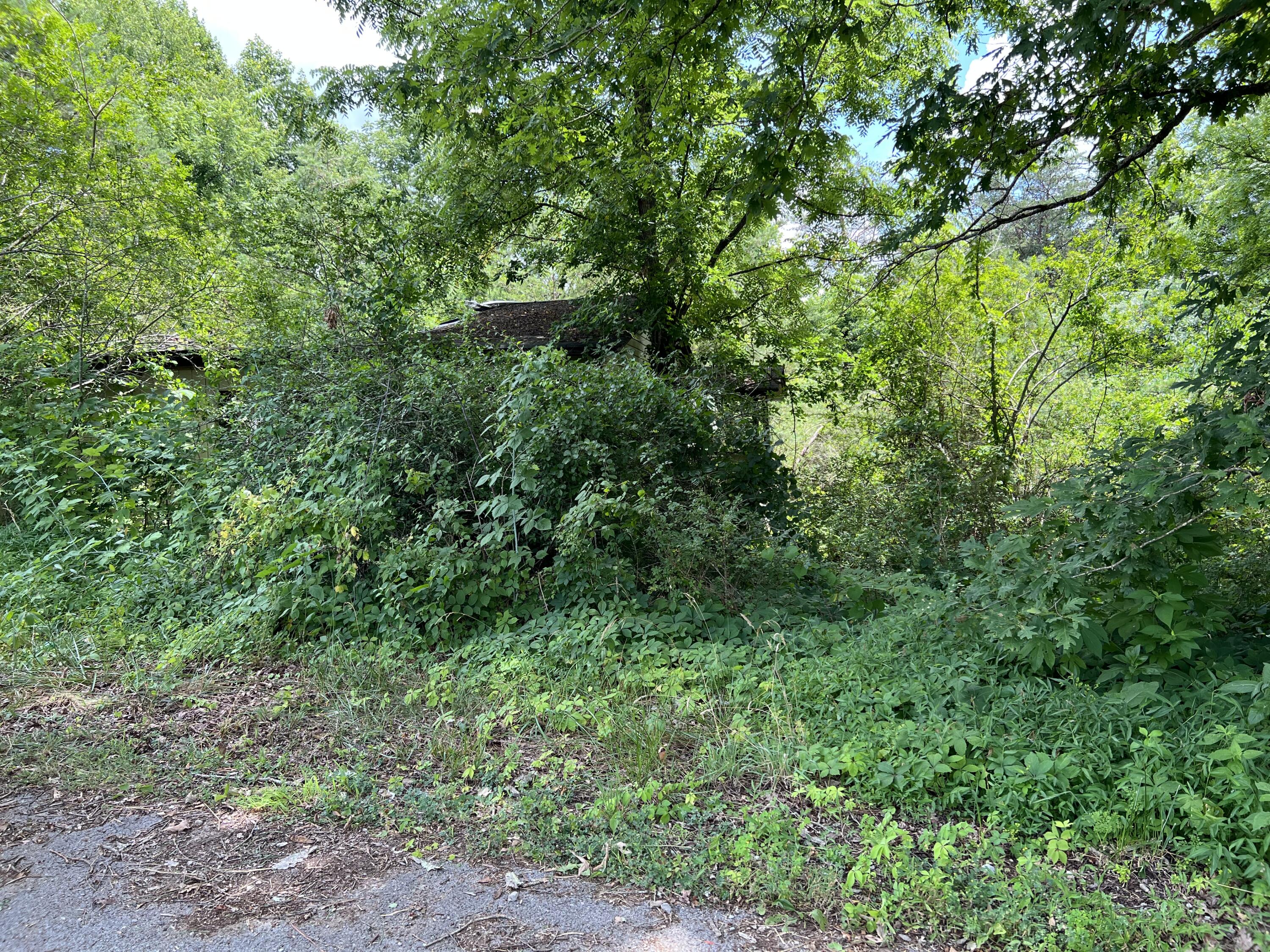 51 Jervis Road London, KY 40741 - Photo 3 of 4 jb1