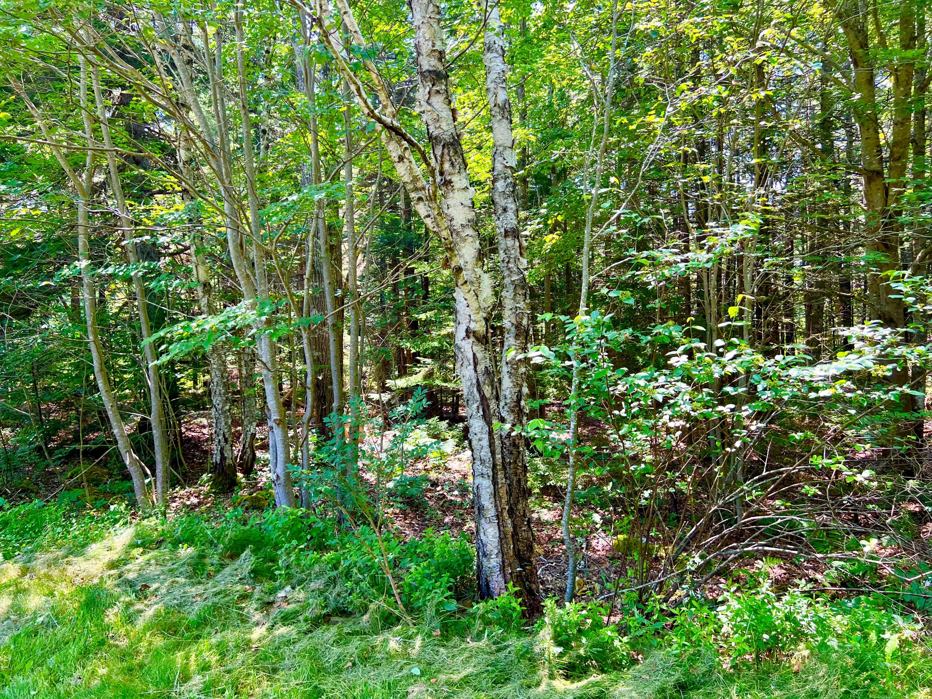3 Elmers Way Bernard, ME 04612 - Photo 19 of 23 4 Acres
