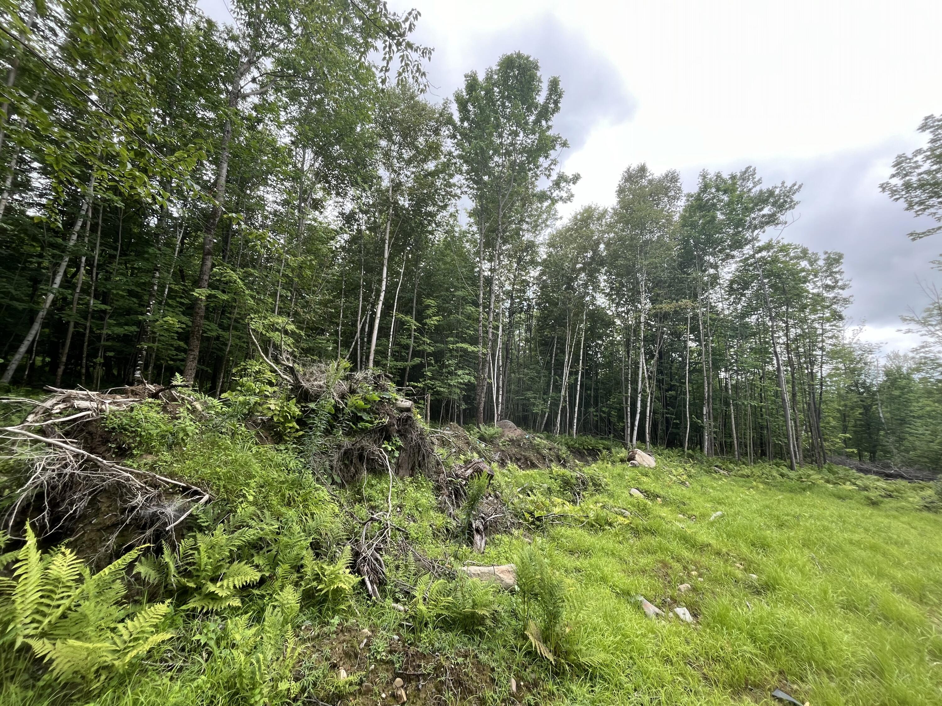 225 Music Road Farmington, ME 04938 - Photo 12 of 26 12