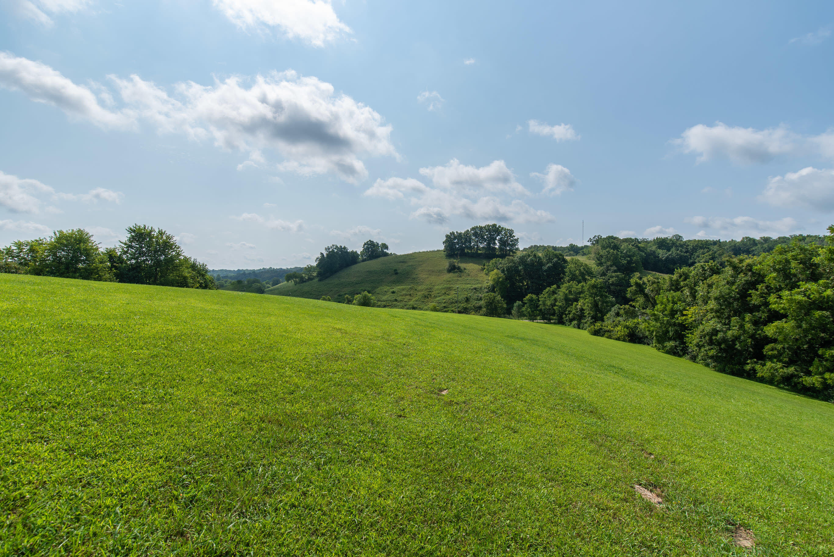 1100 Saltwell Road Owingsville, KY 40360 - Photo 44 of 49 20210810-1100-Saltwell-Rd-davis-realty-0