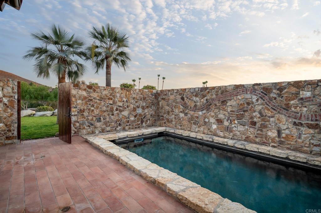 3113 Camino Del Rancho Encinitas, CA 92024 - Photo 13 of 28 Exercise Pool