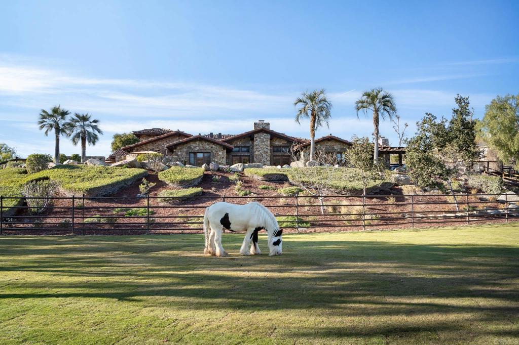 3113 Camino Del Rancho Encinitas, CA 92024 - Photo 21 of 28 Horse Pasture