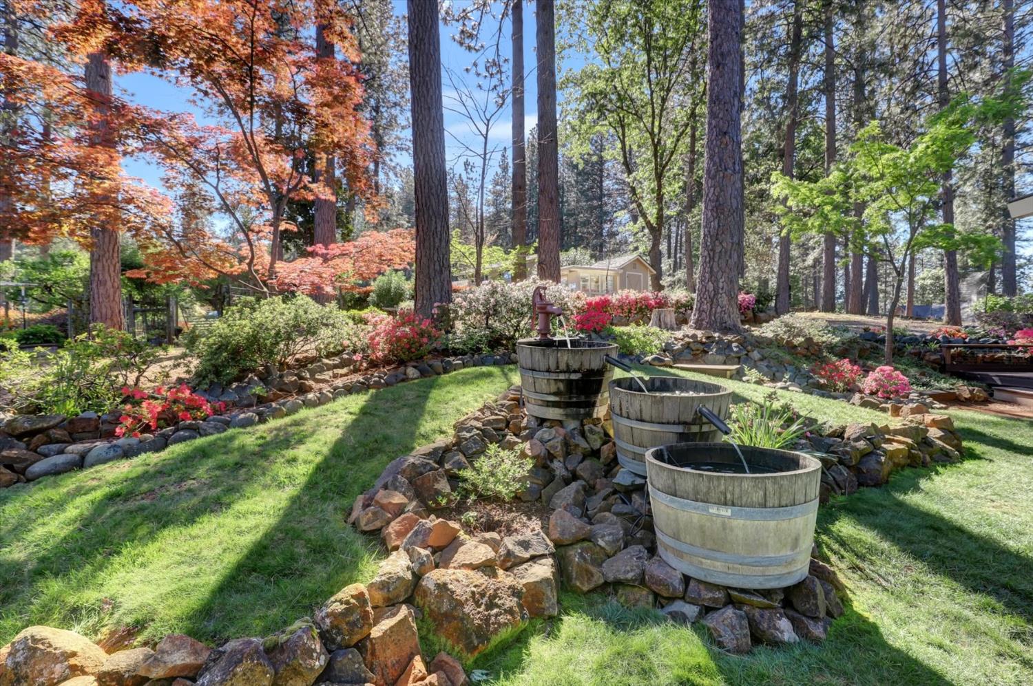 17682 Alexandra Way Grass Valley, CA 95949 - Photo 4 of 55 a view of a garden with patio