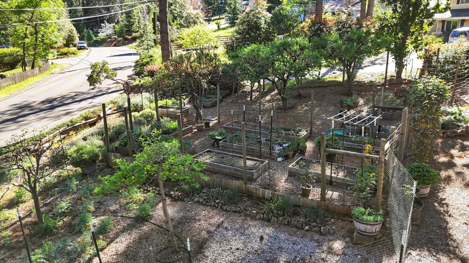 17682 Alexandra Way Grass Valley, CA 95949 - Photo 47 of 55 a backyard of a house with lots of green space