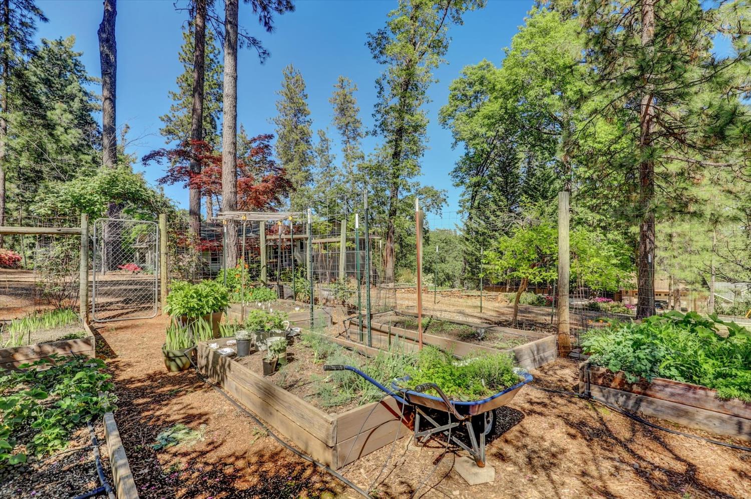 17682 Alexandra Way Grass Valley, CA 95949 - Photo 50 of 55 a view of an outdoor space with seating