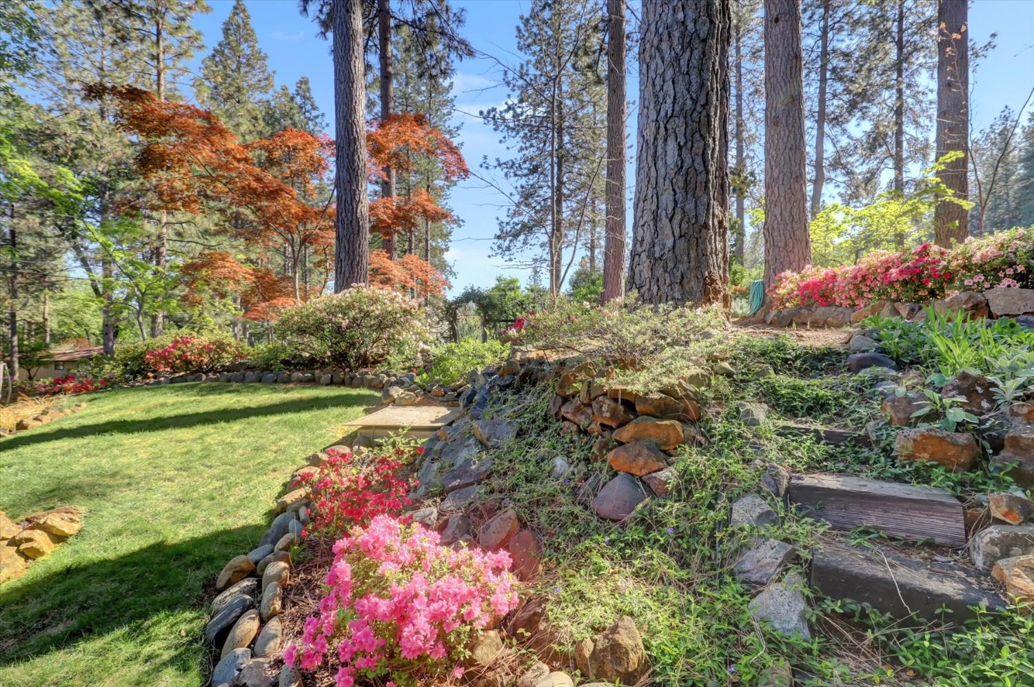 17682 Alexandra Way Grass Valley, CA 95949 - Photo 5 of 55 a view of a park with large trees