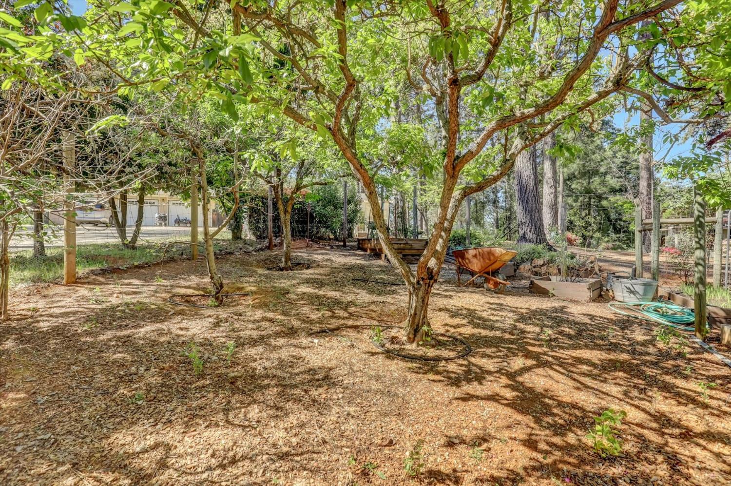 17682 Alexandra Way Grass Valley, CA 95949 - Photo 51 of 55