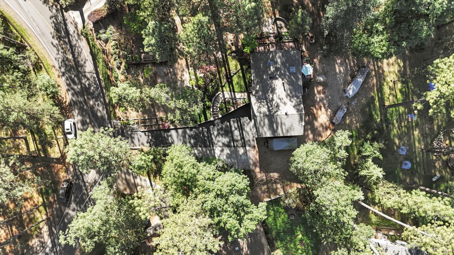 17682 Alexandra Way Grass Valley, CA 95949 - Photo 52 of 55 a backyard of a house with lots of plants and tree