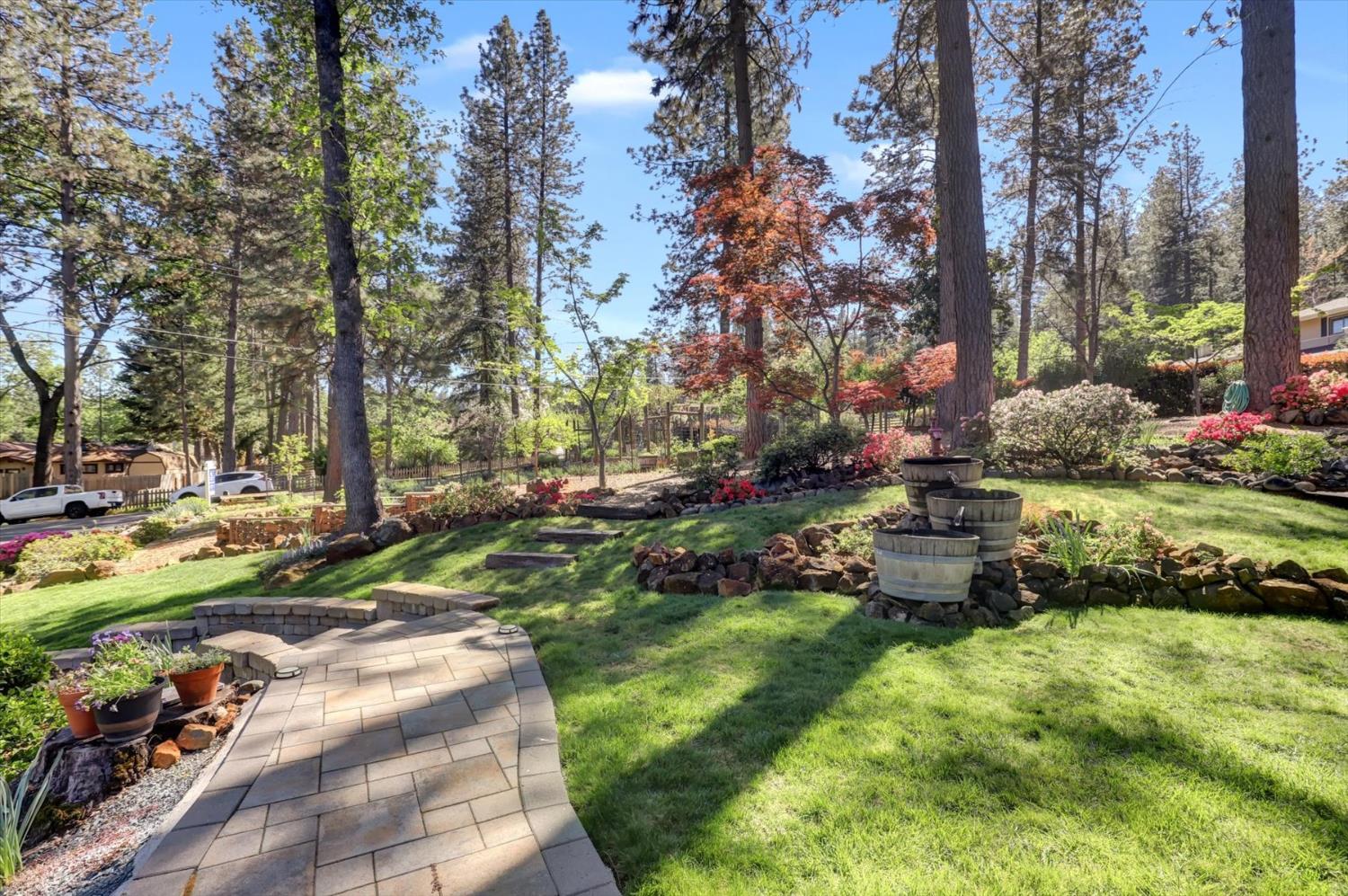 17682 Alexandra Way Grass Valley, CA 95949 - Photo 6 of 55 a garden with trees and some trees