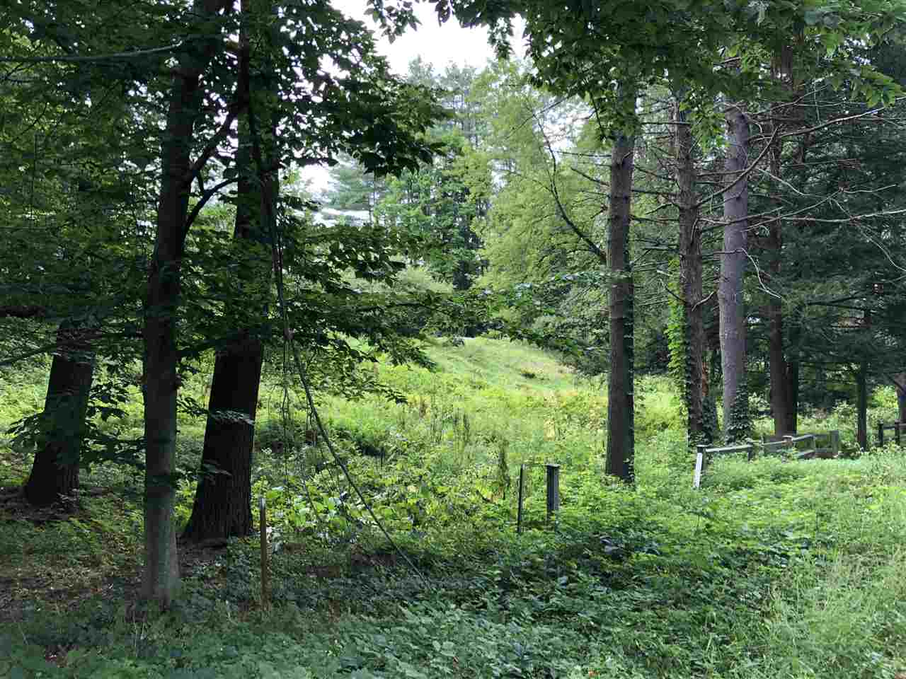 9 Chase Road Hanover, NH 03755 - Photo 2 of 7