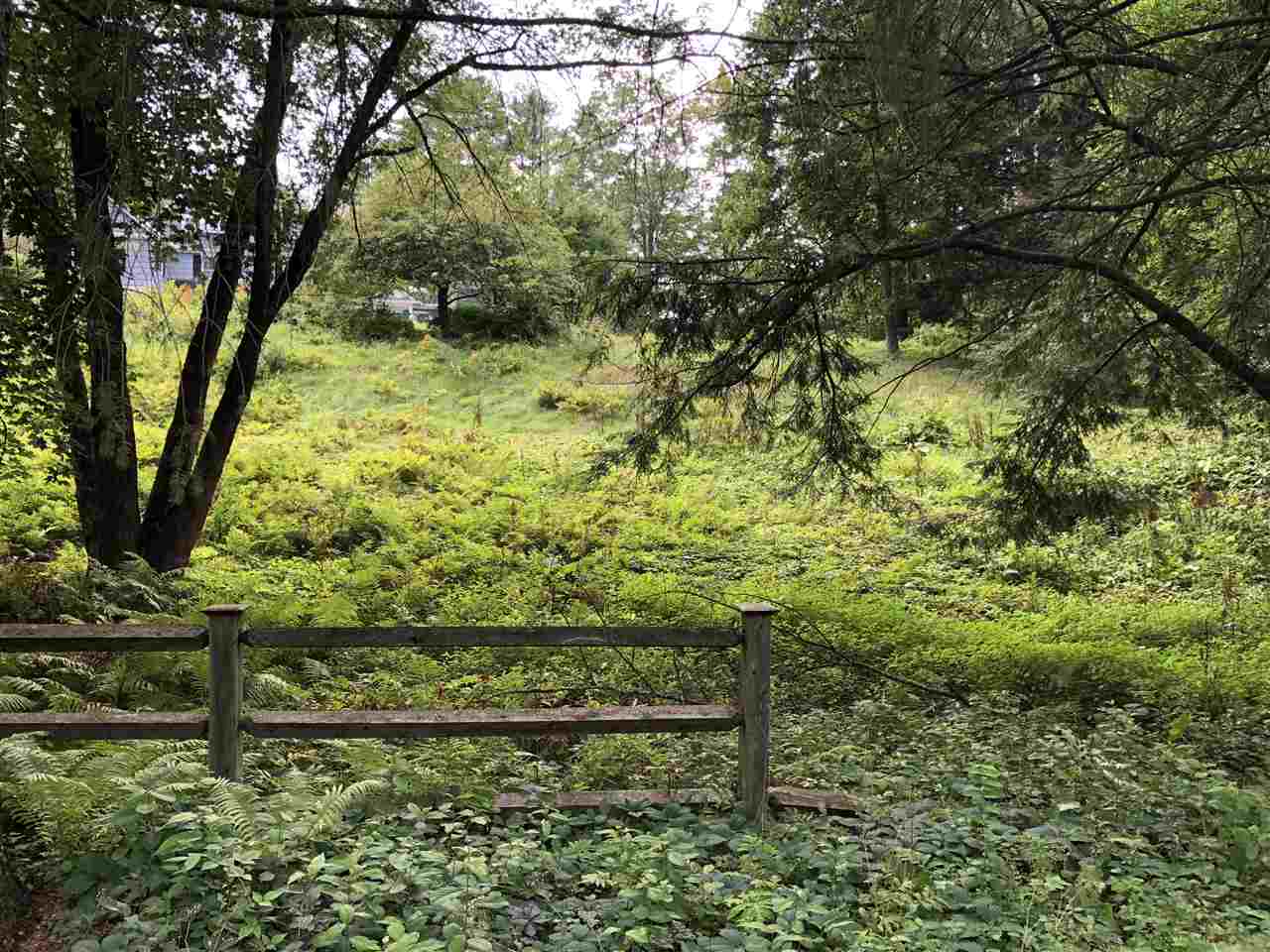 9 Chase Road Hanover, NH 03755 - Photo 5 of 7