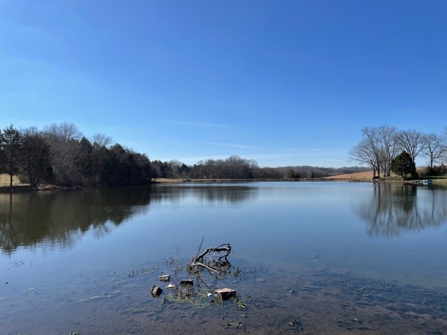 35 3 Fork Bridge Road Wartrace, TN 37183 - Photo 1 of 15 a lake view with a lake view