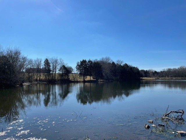 35 3 Fork Bridge Road Wartrace, TN 37183 - Photo 13 of 15 a view of a lake
