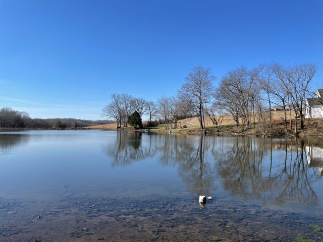 35 3 Fork Bridge Road Wartrace, TN 37183 - Photo 14 of 15 a view of lake