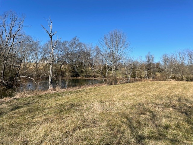 35 3 Fork Bridge Road Wartrace, TN 37183 - Photo 15 of 15 a backyard of a house with lots of green space