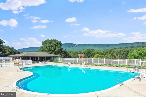 a view of a swimming pool with lawn chairs and plants