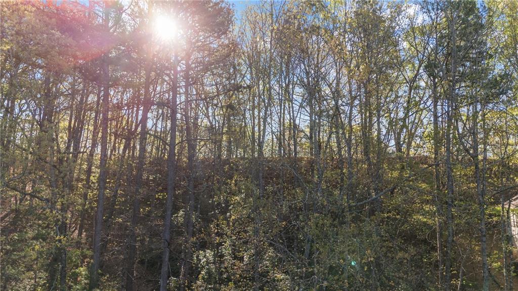 47 Dache Brucke Strasse Helen, GA 30545 - Photo 2 of 14