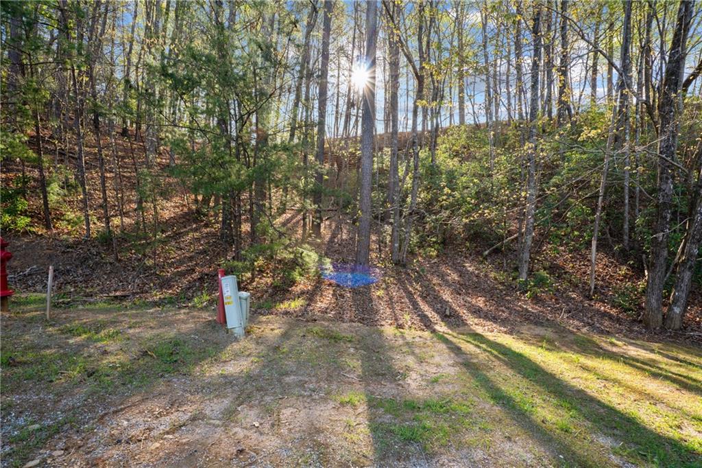 47 Dache Brucke Strasse Helen, GA 30545 - Photo 3 of 14 a view of a yard with plants and trees