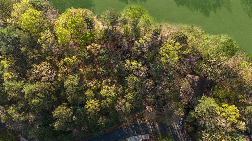 47 Dache Brucke Strasse Helen, GA 30545 - Photo 4 of 14 a view of a yard and an aerial of a house