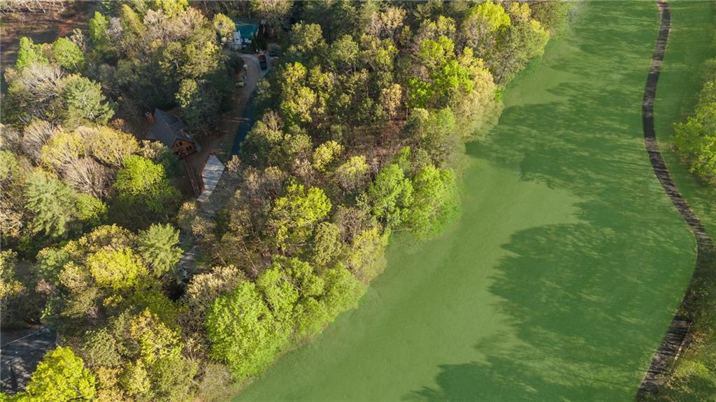 47 Dache Brucke Strasse Helen, GA 30545 - Photo 5 of 14 a view of a trees in a yard
