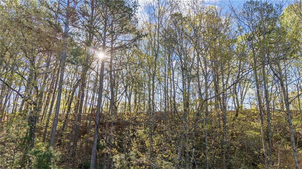 47 Dache Brucke Strasse Helen, GA 30545 - Photo 7 of 14 a view of yard